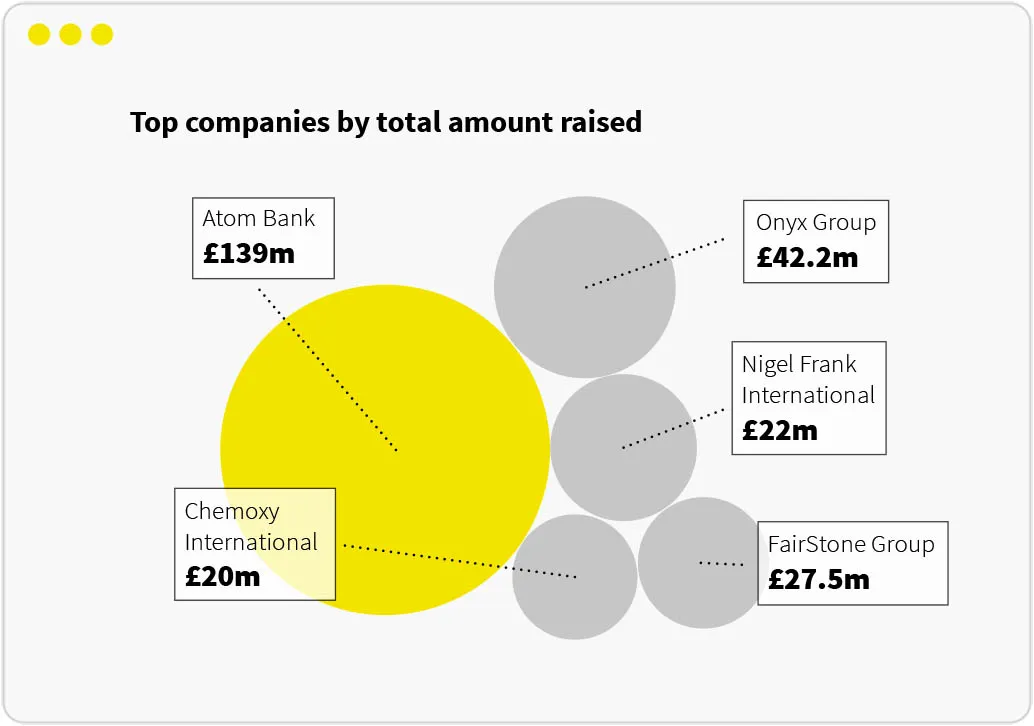 Top companies by total amount raised