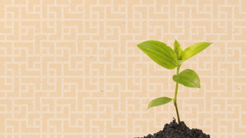 The Latest Figures on the Enterprise Investment Scheme (EIS)