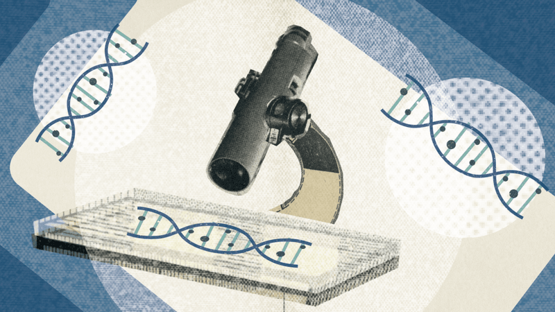 England’s Genomics Startups: Who are They and What are They working on? 