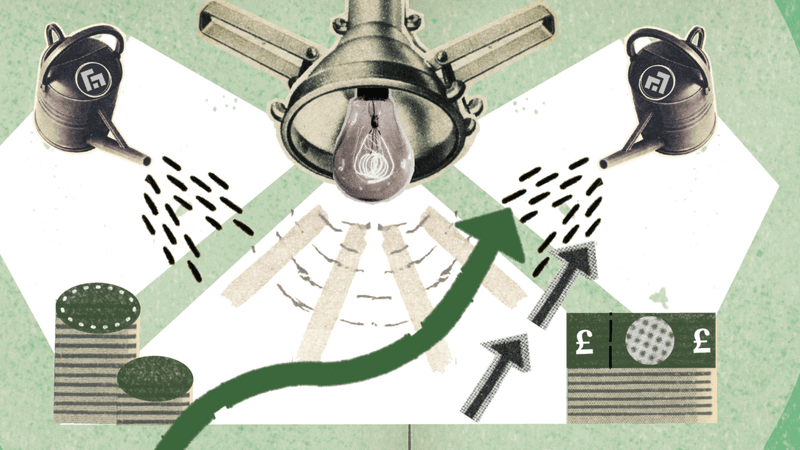 How Do Accelerators and Incubators Use Beauhurst?