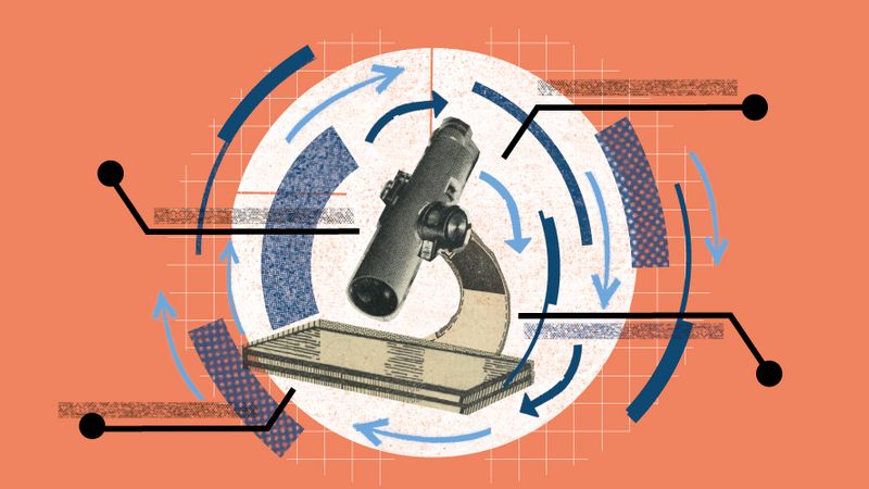 Spinout Companies: What Are They and How Can You Find Them?