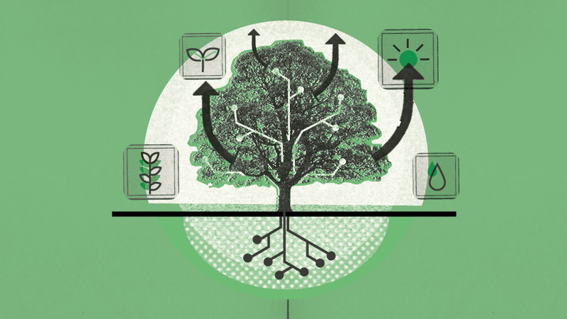 Top Five ESG Companies UK | 2023