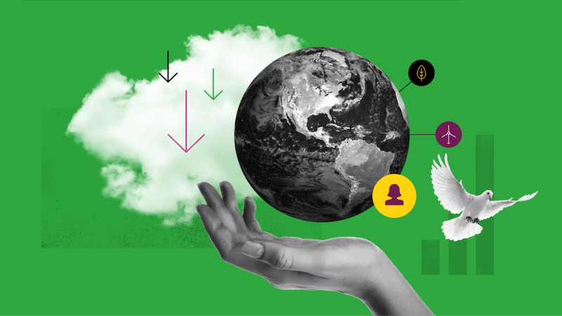 The Women Powering Decarbonisation in the UK
