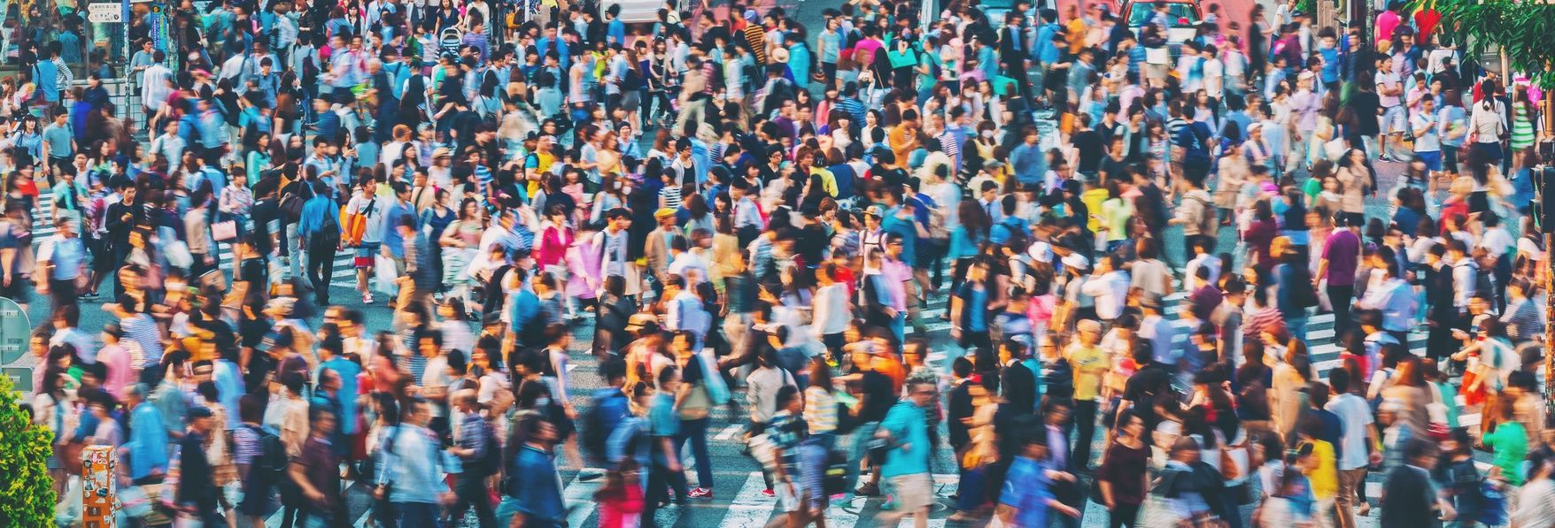 Equity crowdfunding: the definitive data and guide