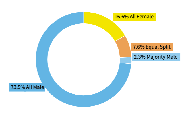 Gender diversity in high-growth companies in the North East