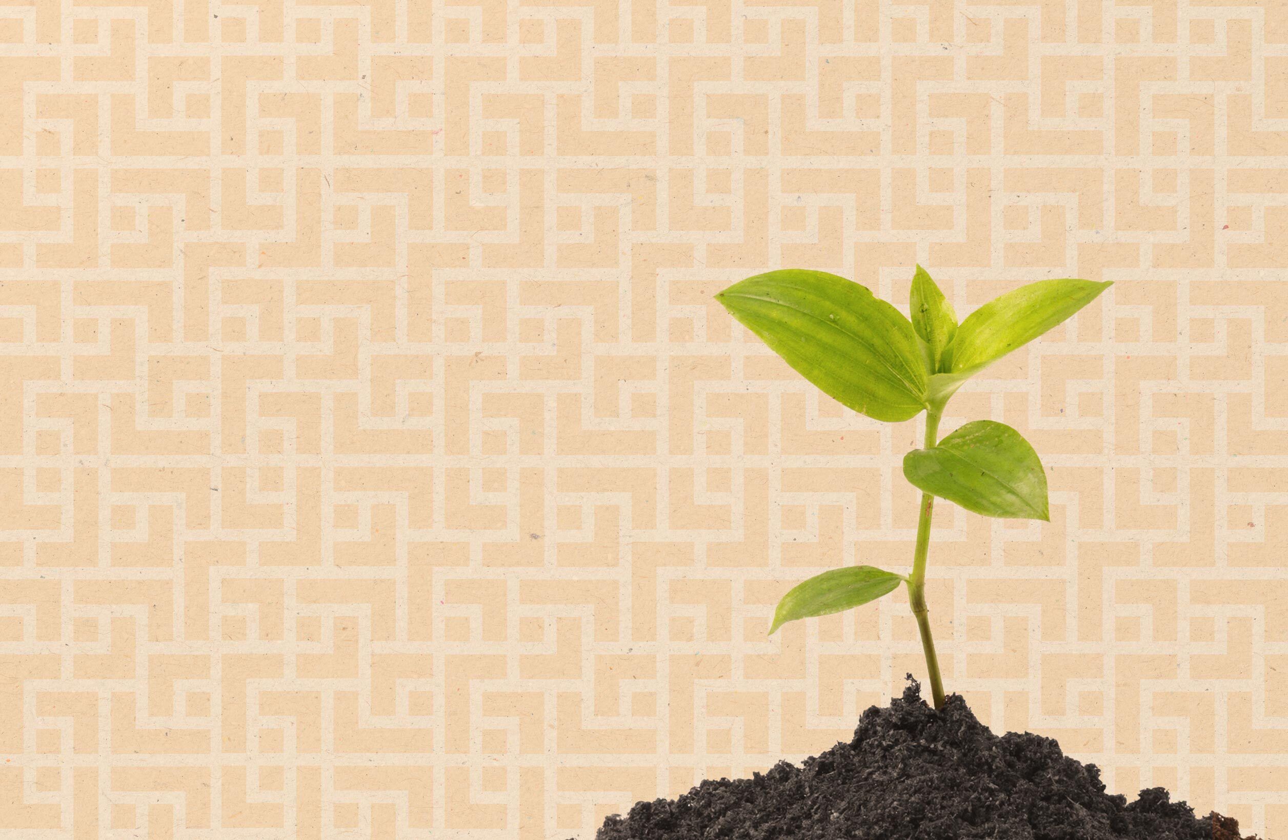 The Latest Figures on the Enterprise Investment Scheme (EIS)