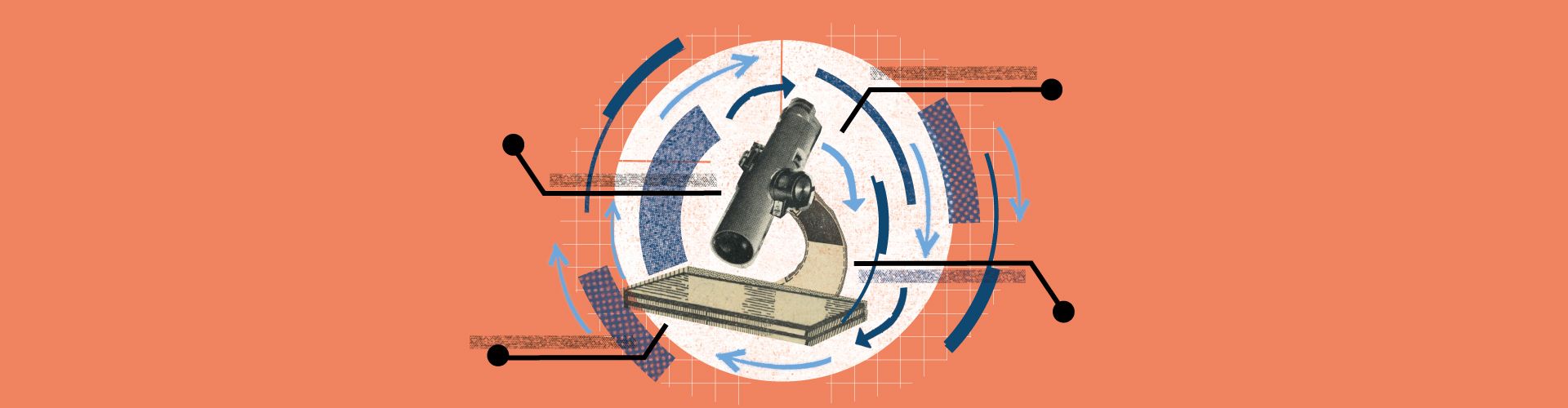 Spinout Companies: What Are They and How Can You Find Them?