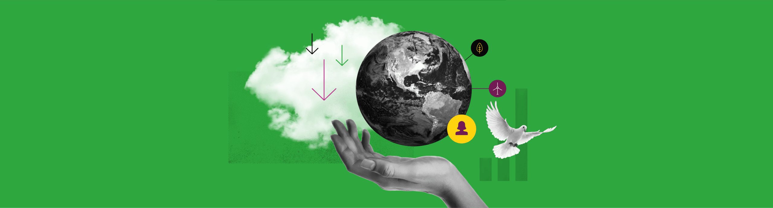 The Women Powering Decarbonisation in the UK