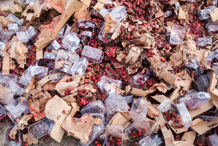 landfill food waste