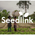 Seedlink, King's20