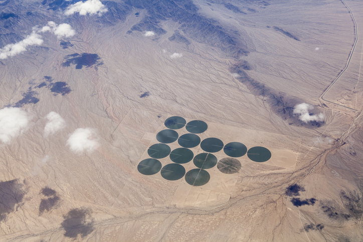 Desert crop circles from above