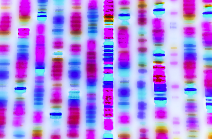 DNA sequencing