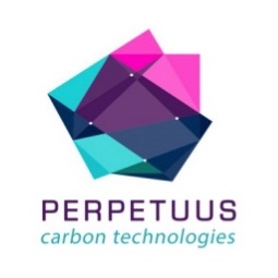 Perpetuus Logo