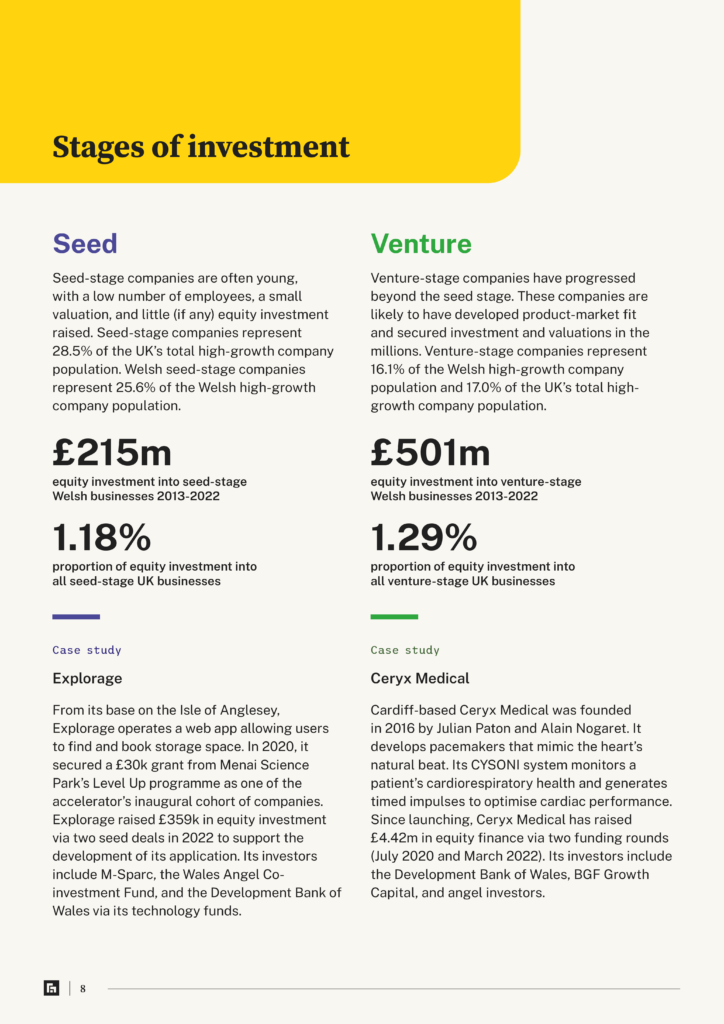 Wales Equity Investment report - page preview